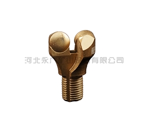 金剛石復(fù)合片鉆頭