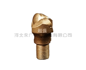 金剛石復(fù)合片鉆頭廠家